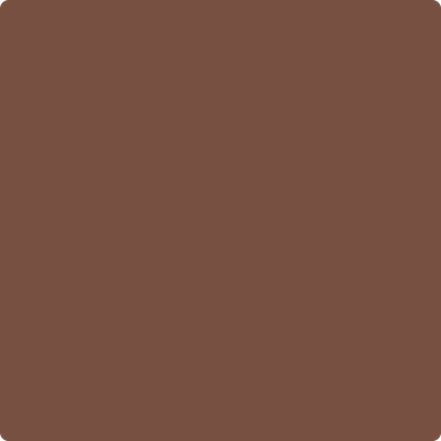 2100-20: Leather Saddle Brown a paint color by Benjamin Moore avaiable at Clement's Paint in Austin, TX.
