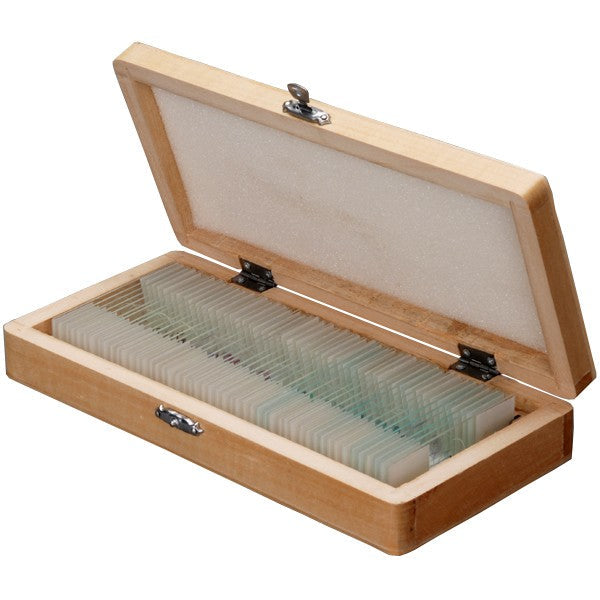 AmScope 50 Biology Prepared Microscope Slides Set