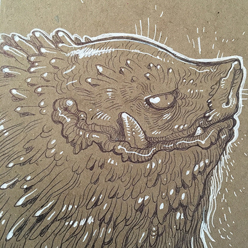 BALLPOINT PEN DRAWINGS ON KRAFT BOARD