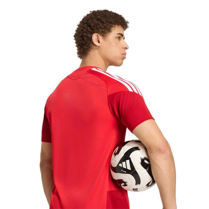 Camiseta Adidas River Plate Tr Jsy Hombre