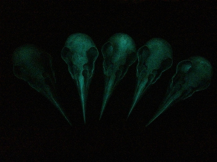 CROW SKULL SCONCE LIGHT- AMBER OR PURPLE
