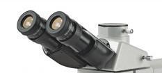 Eyepieces for Accu-Scope 3025 Microscope Series - Microscope Central
