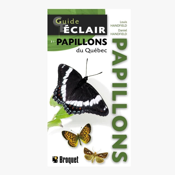 Guide Éclair - Papillons du Québec