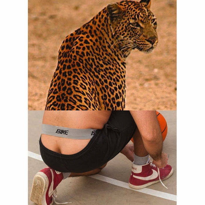 naro Pinosa Jaguar Bike Jockstrap Postcard
