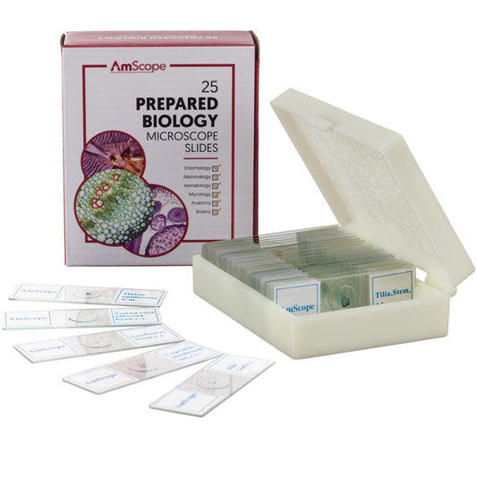 25 Glass Prepared Zoological and Botanical Microscope Slides with Plastic Box