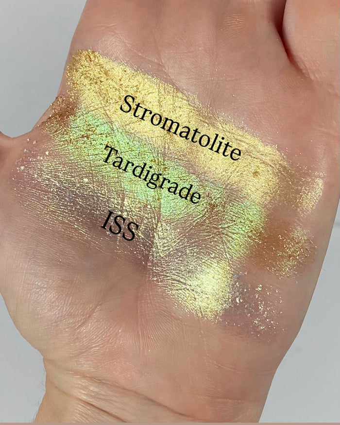 Stromatolite Mulitchrome