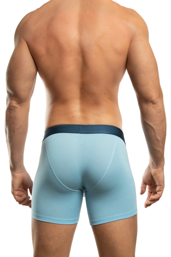 Man standing wearing a pair of Jack Adams sky blue Air Army Boxer Briefs (back view) on a white background.