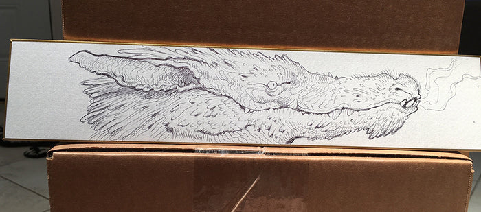 BALLPOINT PEN ILLUSTRATIONS ON WHITE BOARD