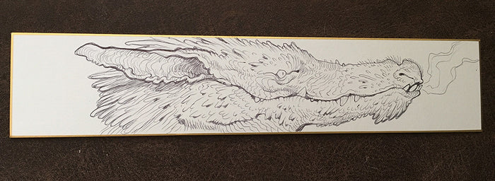 BALLPOINT PEN ILLUSTRATIONS ON WHITE BOARD