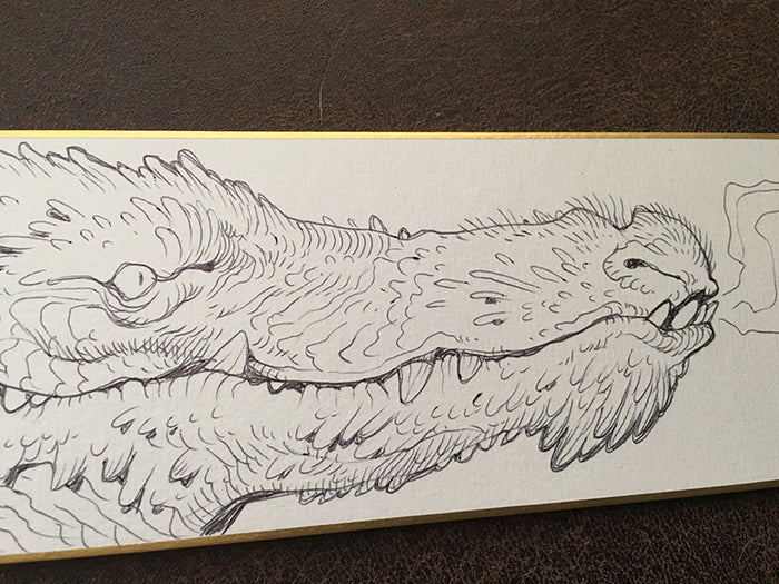 BALLPOINT PEN ILLUSTRATIONS ON WHITE BOARD