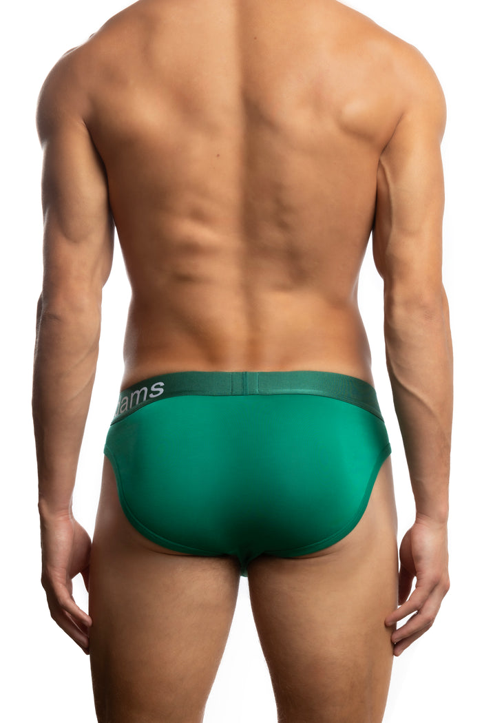 Bamboo Brief