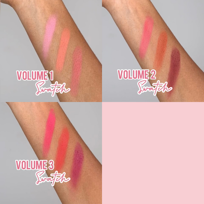 Pink Lipps Blushing’ On You Blush Palette swatches, six rich hues: baby pink, rose coral, rich russet, red berry, deep bright purple, deep mauve on medium skin tone
