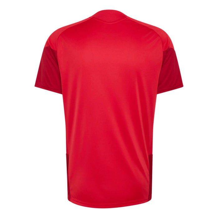 Camiseta Adidas River Plate Tr Jsy Hombre