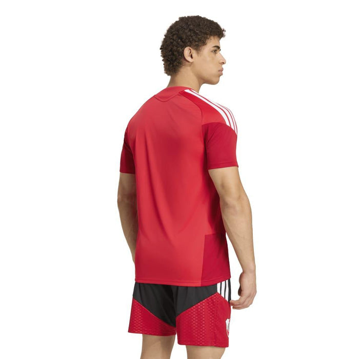 Camiseta Adidas River Plate Tr Jsy Hombre