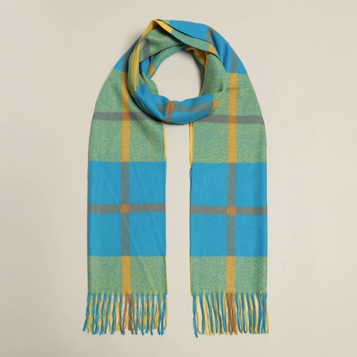 Soft cashmere feel scarf from Fashion City, showcasing a cozy, lightweight accessory with a sleek design and neutral color.