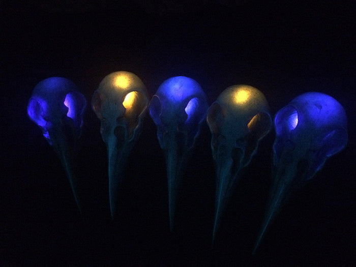 CROW SKULL SCONCE LIGHT- AMBER OR PURPLE