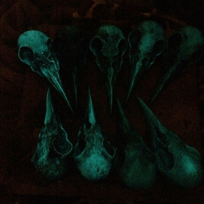 CROW SKULL SCONCE LIGHT