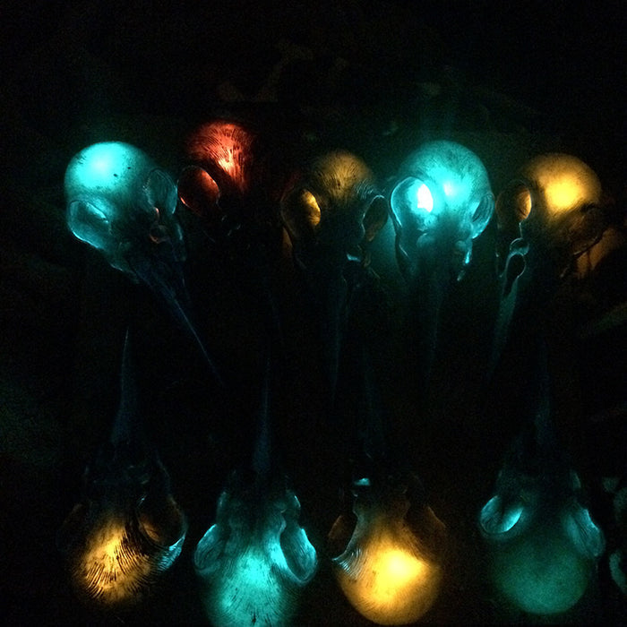 CROW SKULL SCONCE LIGHT