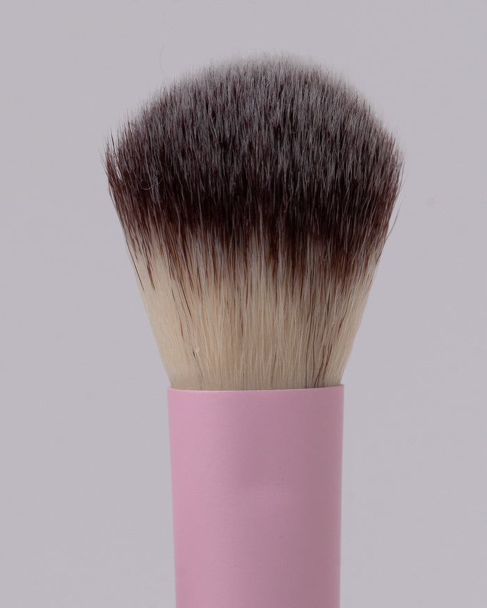 DB8 Brush
