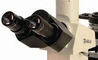 Eyepieces for Accu-Scope 3030 - Microscope Central