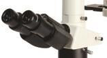 Eyepieces for Accu-Scope 3035 Microscope - Microscope Central