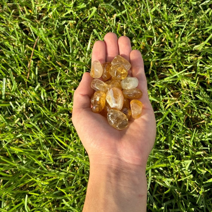 Golden Healer Tumbled