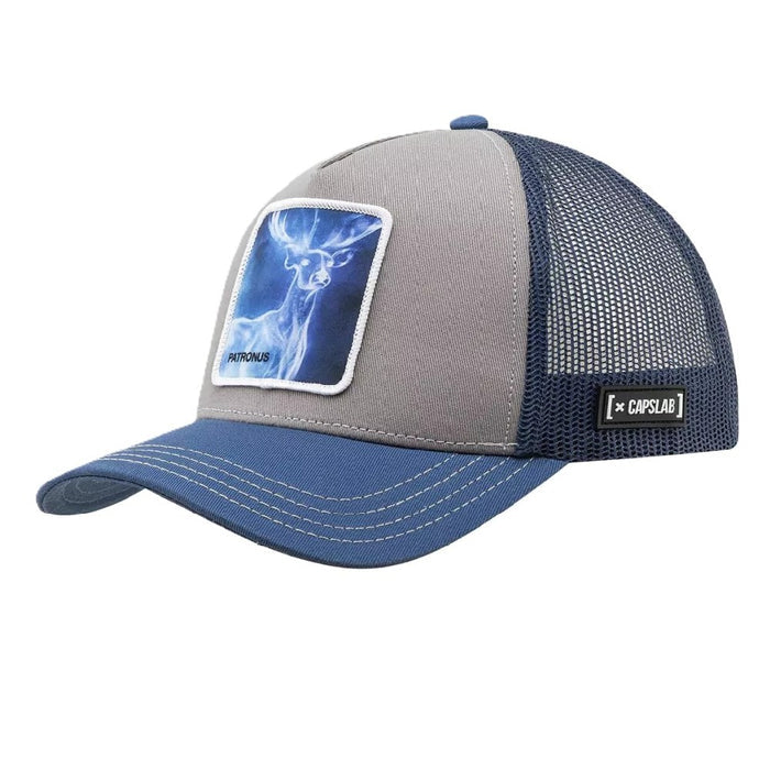 Gorra Capslab Harry Potter - Pat2 Unisex
