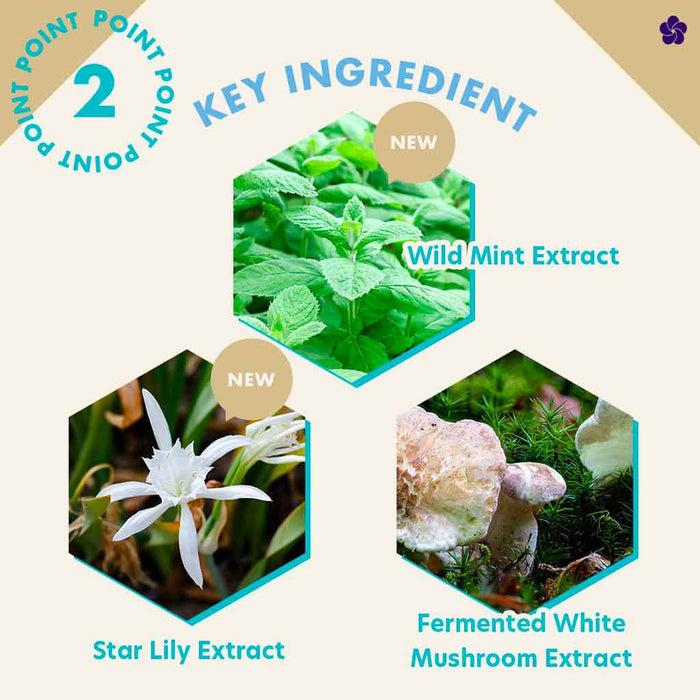 Lululun Pure White Key Ingredients. Murasaki Cosmetics. Japanese skincare. J-Beauty. Facial sheet masks