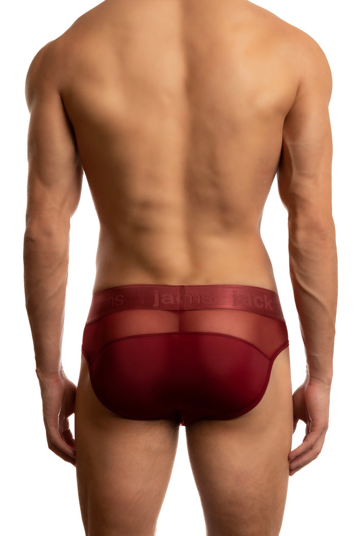 Jack Adams Monochrome Mesh Brief in tibetan red (back view) - men's sexy, premium, functional underwear, jockstraps and thongs