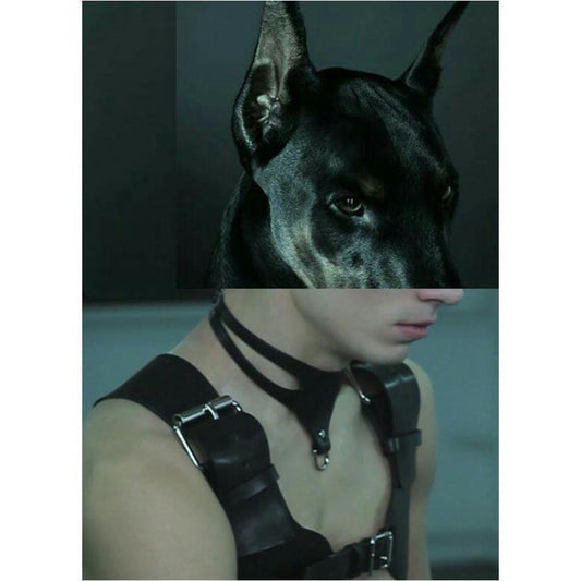 Naro Pinosa Doberman Leather Harness Postcard