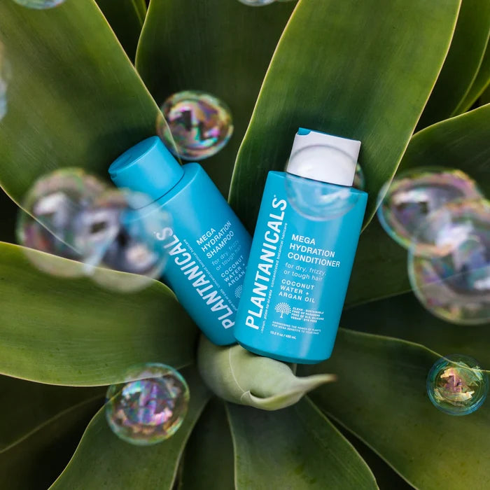 PLANTANICALS mega hydration shampoo for dry frizzy or rough hair coconut water + argan oil شامبو الشعر الجاف والخشن بماء جوز الهند والاركان من بلانتانيكالس