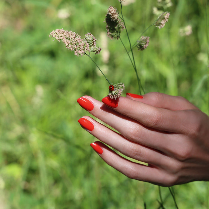A hand with Manucurist's Red Coral nails gently holds grass stems outdoors, as a ladybug rests on one stem. The lush green background highlights the natural setting.