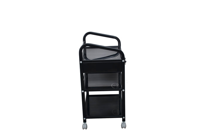 SPA Beauty Hairdressing Rolling Trolley Cart