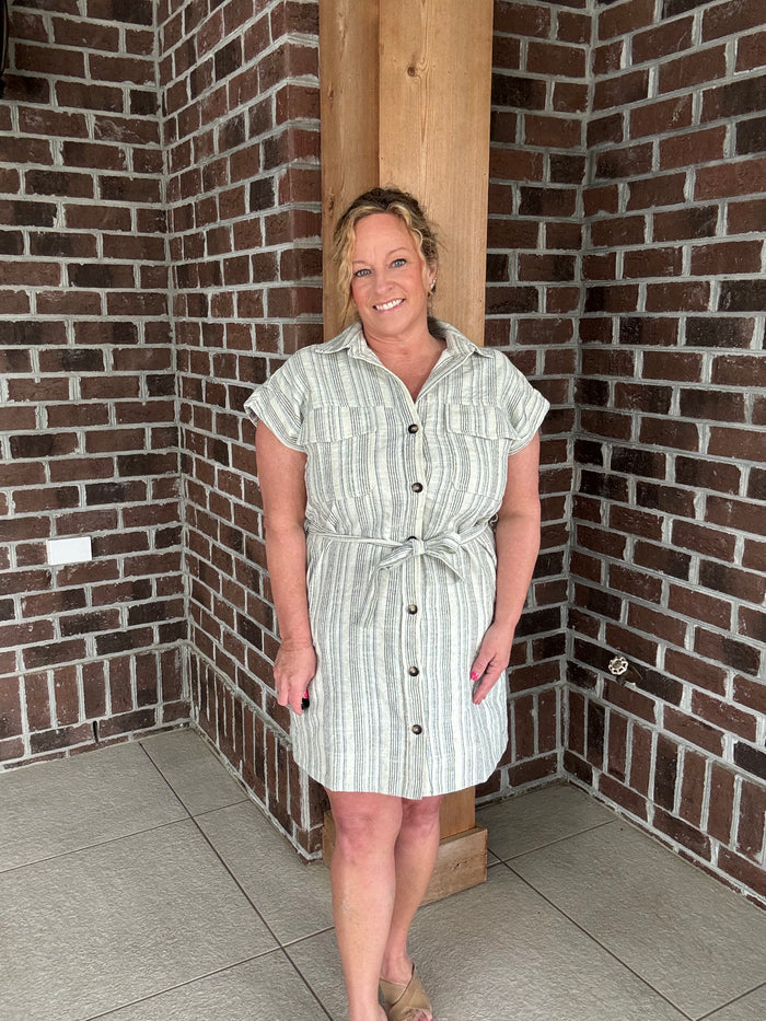 Stitch & Co. Blue Stripe Button Down Shirt Dress