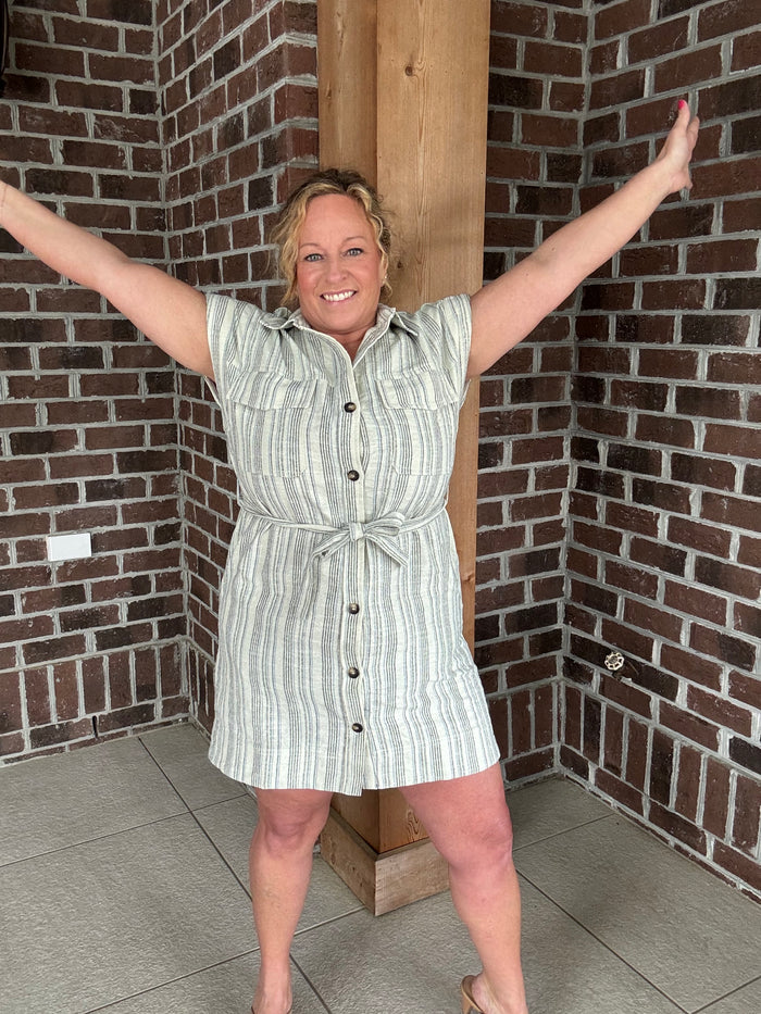 Stitch & Co. Blue Stripe Button Down Shirt Dress
