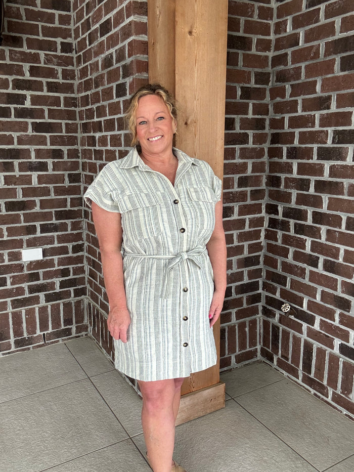 Stitch & Co. Blue Stripe Button Down Shirt Dress