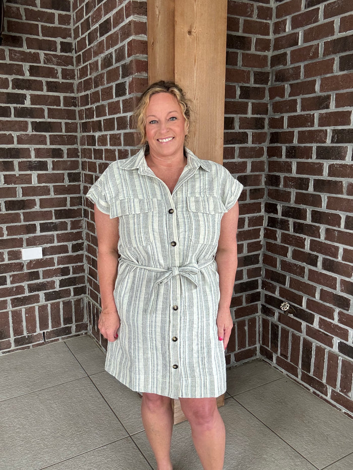 Stitch & Co. Blue Stripe Button Down Shirt Dress