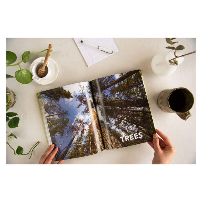 TheBorealHerbal BookSample 2