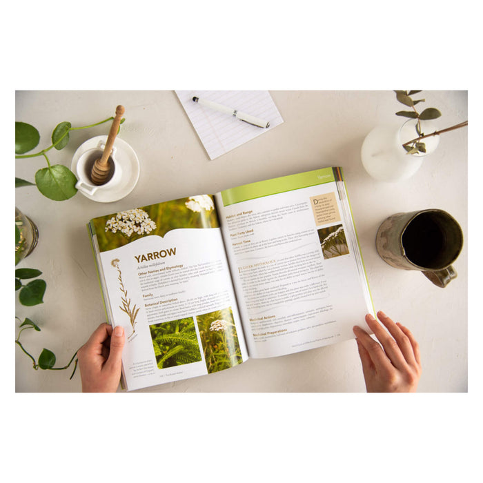 TheBorealHerbal BookSample 4